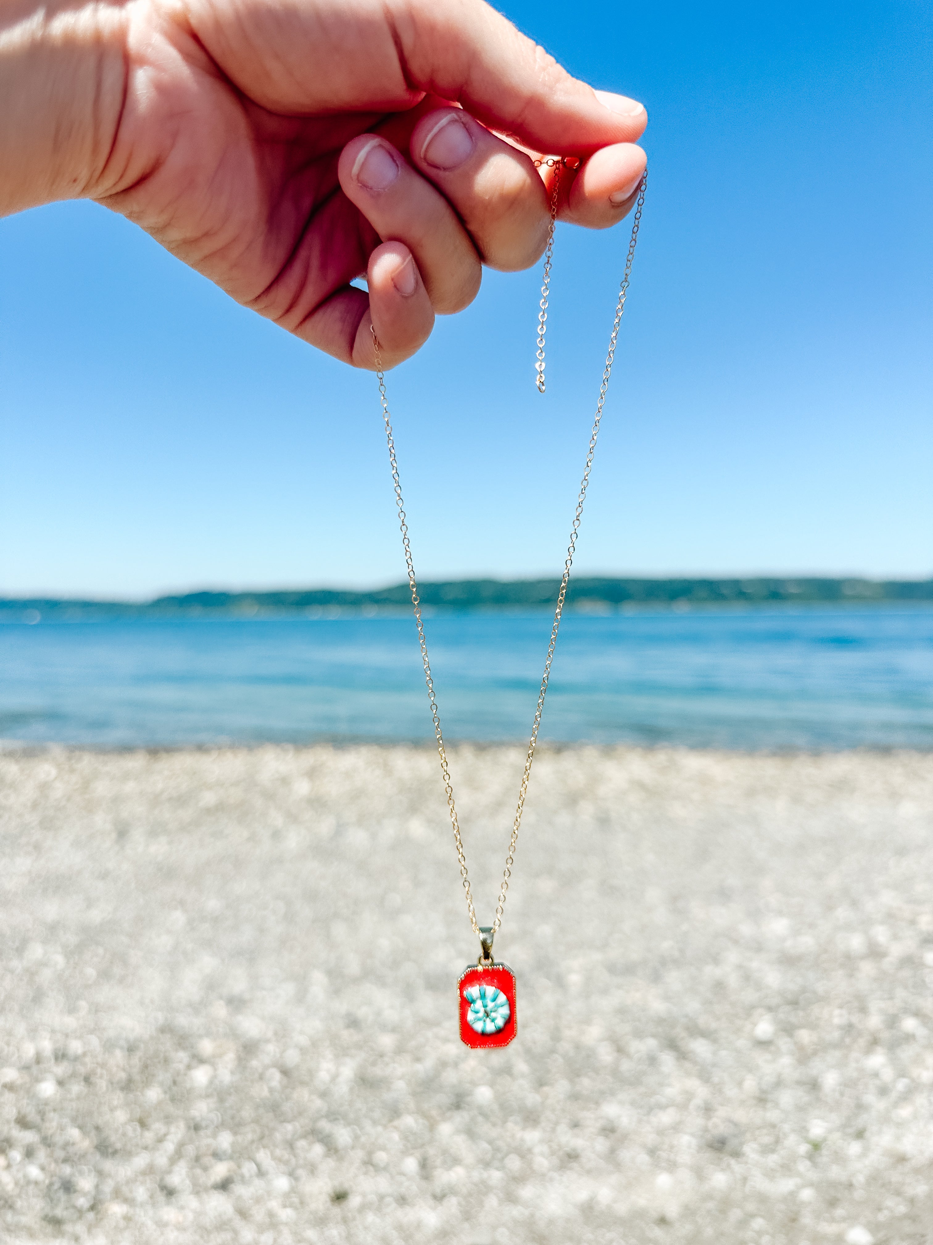 Shellebrate Necklace